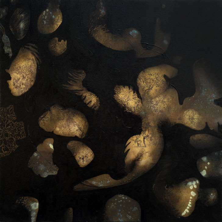 First Light - Rebecca Bergese